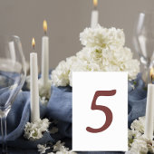 Modern Terracotta Number Table Card Tischnummer