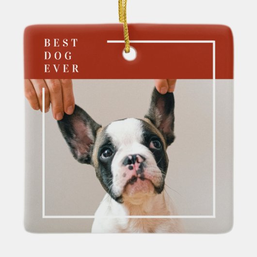 Modern Terracotta Red Best Dog Ever Photo Keramikornament (Vorderseite)