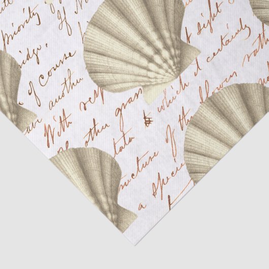 Modern Vintage Beige Shell Script Seidenpapier (Detail)