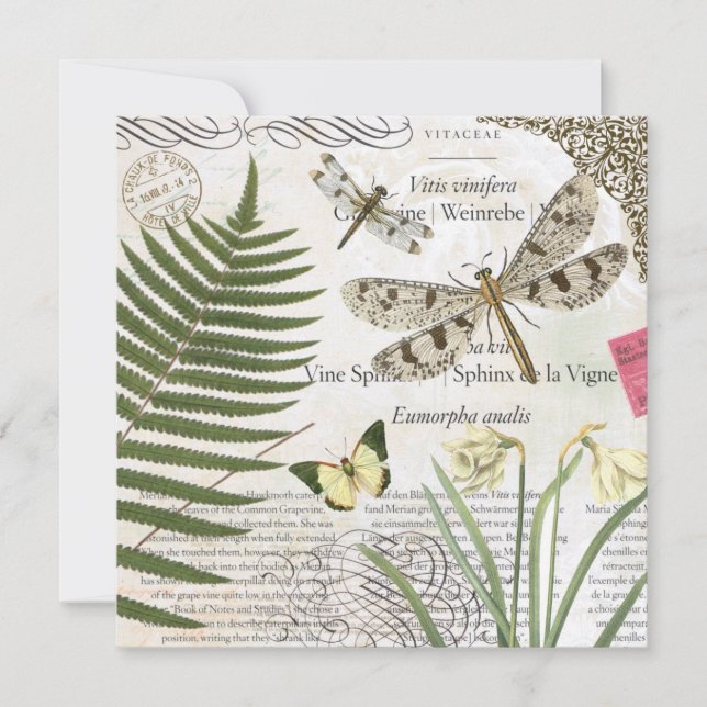 Modern Vintch French Draquelly (Vorderseite)