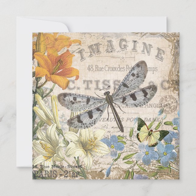 Modern Vintch French Draquelly (Vorderseite)