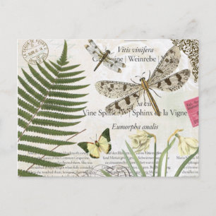 Modern Vintch French Draquelly Postkarte