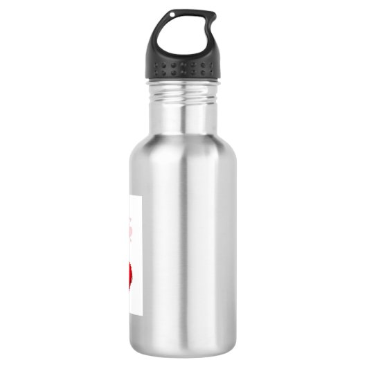 Modern Water Bottle Collection – Gym, Travel & Eve Edelstahlflasche (Vorderseite)