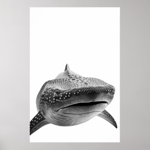 Modern Whale Shark Portrait Schwarz-weiß Poster