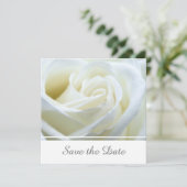 Modern White Rose Save The Date (Stehend Vorderseite)