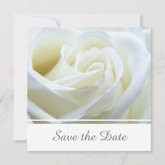 Modern White Rose Save The Date (Vorderseite)