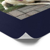 Moderne 12 Hunde Foto personalisierte Collage Poster (Ecke)