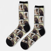 Moderne 2-Hunde-Foto-Collage-Gitter Socken (Linkes Detail)