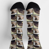 Moderne 2-Hunde-Foto-Collage-Gitter Socken (Oben)