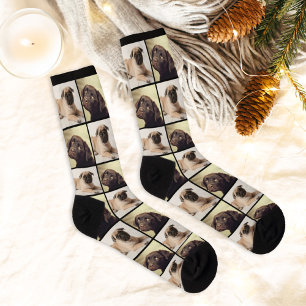 Moderne 2-Hunde-Foto-Collage-Gitter Socken