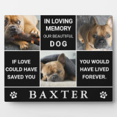 Moderne 3 Instant Foto Collage Memorial Pet Keepak Fotoplatte (Vorderseite)