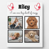 Moderne 4 Hunde Foto Collage Fotoplatte (Vorderseite)