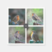 Moderne 4 Robin-Vogel-Fotos mit Monogramm Serviette (Vorderseite)