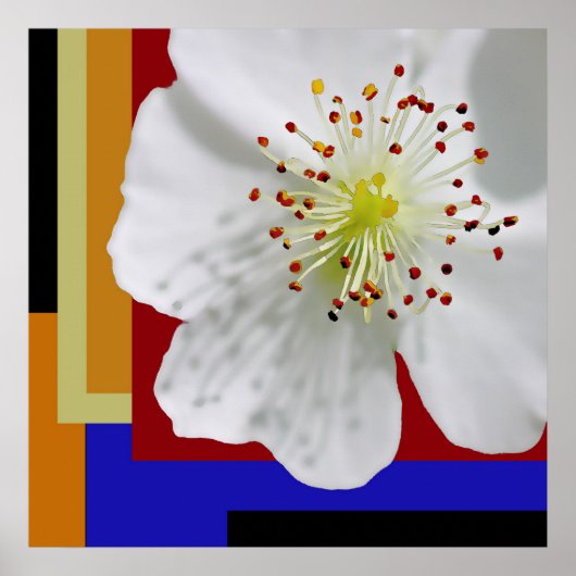 Moderne abstrakte Blumenfeinbildkunst der Frühling Poster (Vorne)