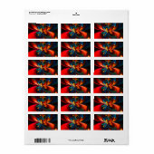 Moderne Abstrakte Blumenkunst Orange Blaues Muster Adressaufkleber (Vorne)