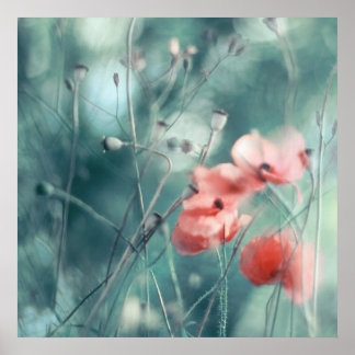 Moderne Abstrakte Dreamy Pink Aquamarine Poppies f Poster