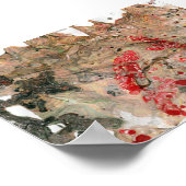 Moderne Abstrakte Kunst Black Red Brown Green Tren Poster (Ecke)