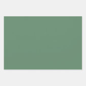 Moderne Abstrakte Kunst Frühjahr Blumenmuster Grün Geschenkpapier Set (Vorderseite 3)