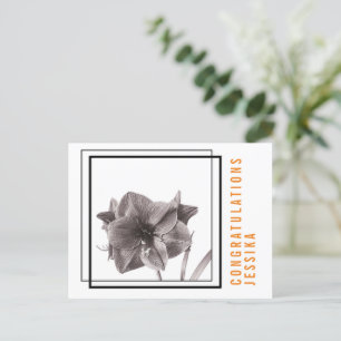 Moderne Amaryllis-Blume Orange  Postkarte