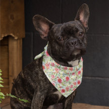 Moderne Aquarellblumen botanisch