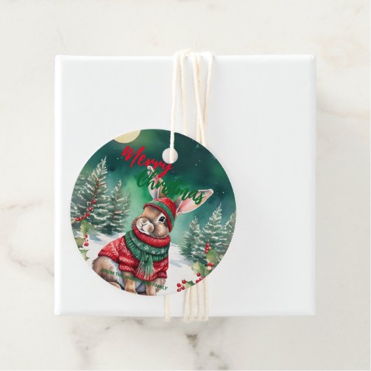 Moderne Aquarellfarbe Sonnenhasen Weihnachtsbaum S Geschenkanhänger (Beispiel)