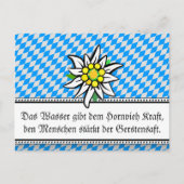 Moderne bayerische Erklärung zum Bier Postkarte (Vorderseite)