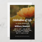 Moderne Beerdigung | Feiern des Lebens Einladung (Vorne/Hinten)