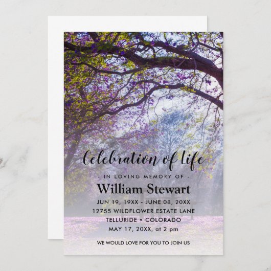 Moderne Beerdigung | Feiern des Lebens Einladung (Vorne/Hinten)