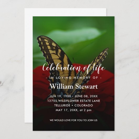 Moderne Beerdigung | Schmetterlingsfeier des Leben Einladung (Vorne/Hinten)