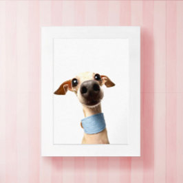 Moderne benutzerdefinierte Tier-Foto | Meeko Poster