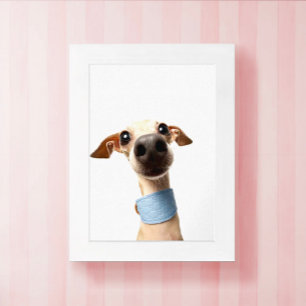 Moderne benutzerdefinierte Tier-Foto Meeko Poster