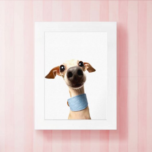 Moderne benutzerdefinierte Tier-Foto | Meeko Poster