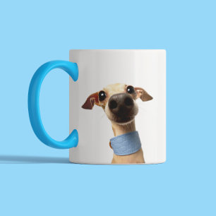 Moderne benutzerdefinierte Tier-Fotos   Meeko Zweifarbige Tasse