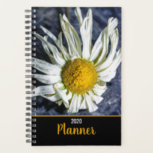 Moderne Besondere Anlass der White Daisy-Blume Planer