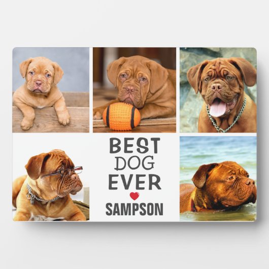 Moderne Beste Hündin je Fotomaterial | Haustier Fotoplatte (Vorderseite)