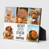 Moderne Beste Hündin je Fotomaterial | Haustier Fotoplatte (Seite)