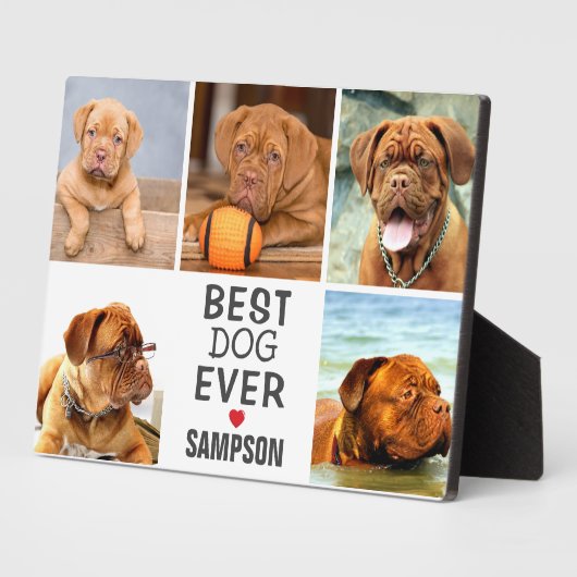 Moderne Beste Hündin je Fotomaterial | Haustier Fotoplatte (Seite)