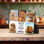 Moderne Beste Hündin je Fotomaterial | Haustier Fotoplatte<br><div class="desc">Eine moderne Collage aus Foto für Ihr geliebtes Haustier. Ob Hund,  Katze,  Kaninchen oder Vogel. Ein einfaches Design mit 5 Fotos und Texten,  das leicht angepasst werden kann. Ich würde fantastisch in jeder Zuhause aussehen und würde auch ein tolles Geschenk machen.</div>