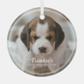 Moderne Bilderrahmen Pet's erstes Weihnachts-Foto  Ornament Aus Glas (Vorderseite)
