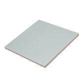Moderne Blaugrau-Monochrom Fliese (Seite)