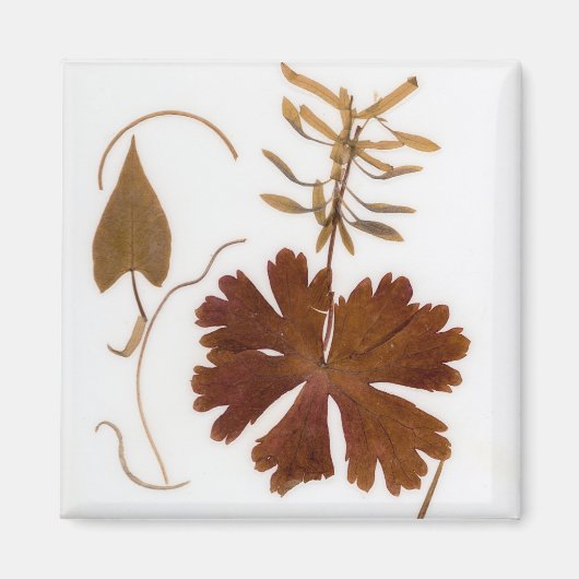 Moderne Blume aus dem Mittelalter Magnet (Vorne)