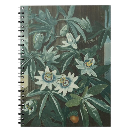 Moderne Blume Notizblock (Vorderseite)