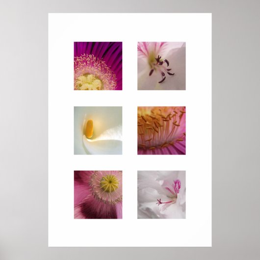 Moderne Blume Print Poster (Vorne)