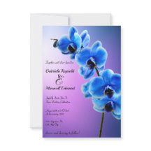 Moderne Blumenblume Orchideen Hochzeit