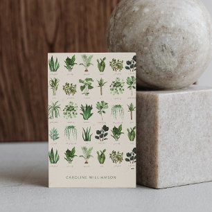 Moderne Boho-Grünpflanzen Botanische Natur Visitenkarte