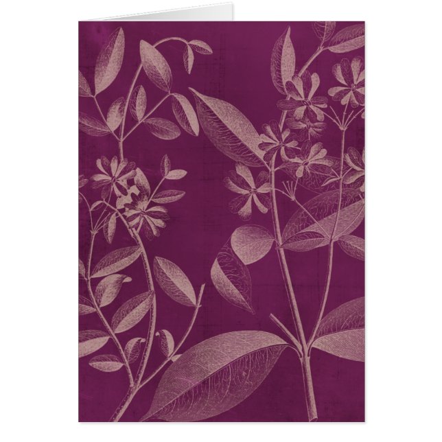 Moderne Botanik III (Vorne)