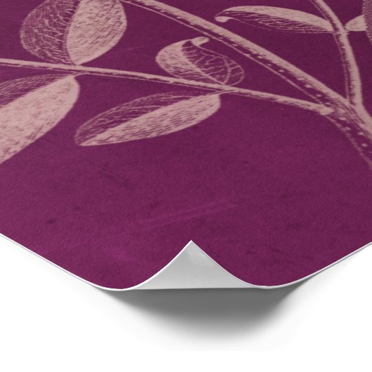 Moderne Botanik III Poster (Ecke)