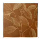 Moderne Botanik VI Fliese (Vorderseite)