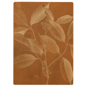 Moderne Botanik VI Klemmbrett (Rückseite)