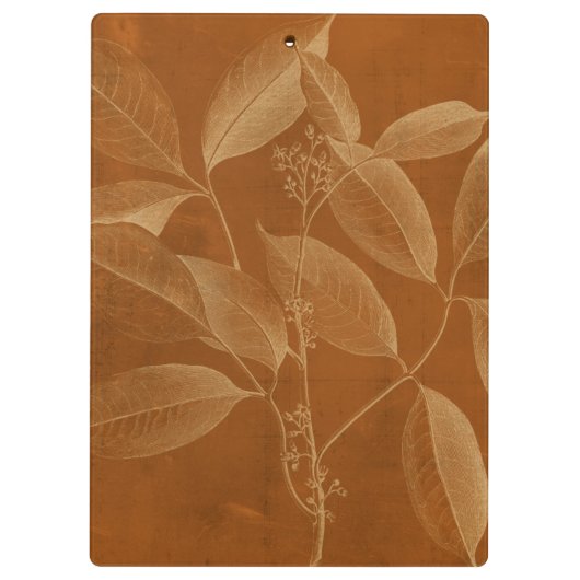 Moderne Botanik VI Klemmbrett (Rückseite)